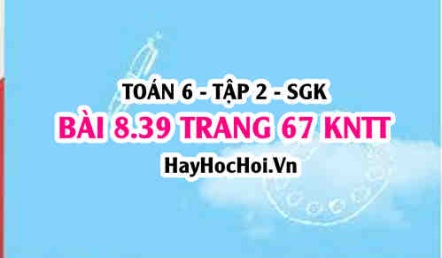 Bài 8.39 trang 67 Toán 6 Tập 2 Kết nối tri thức